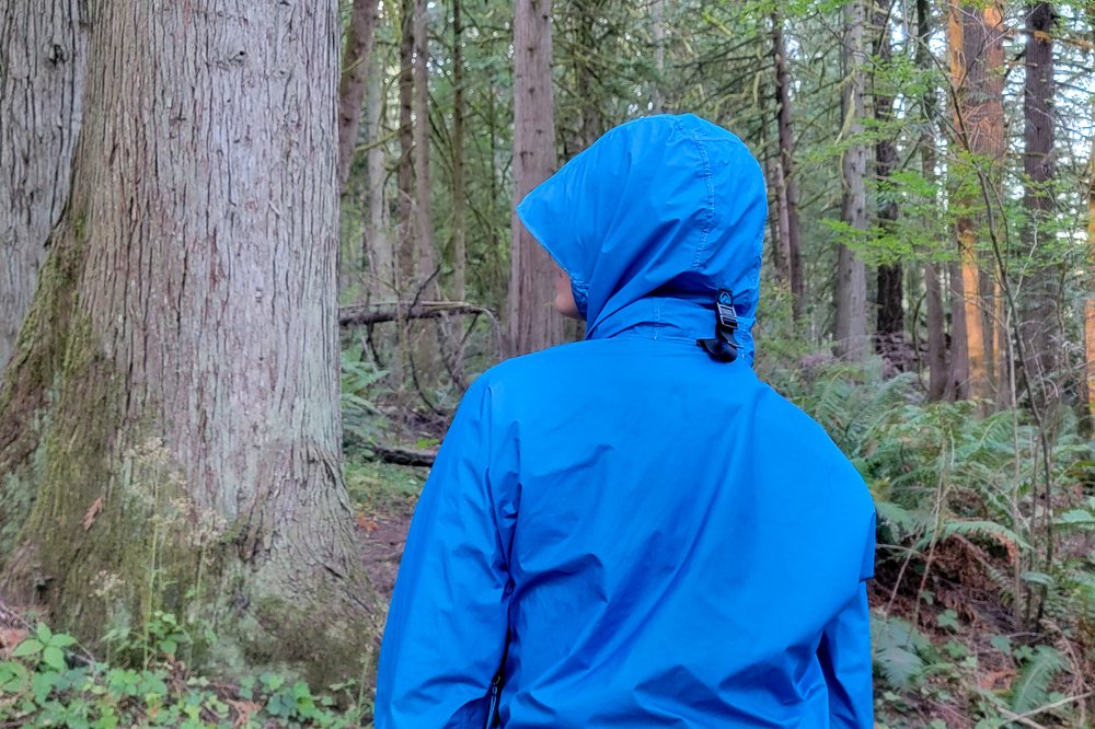 A view of the back of someone wearing the Zpacks Vertice Jacket with the hood up in a forest
